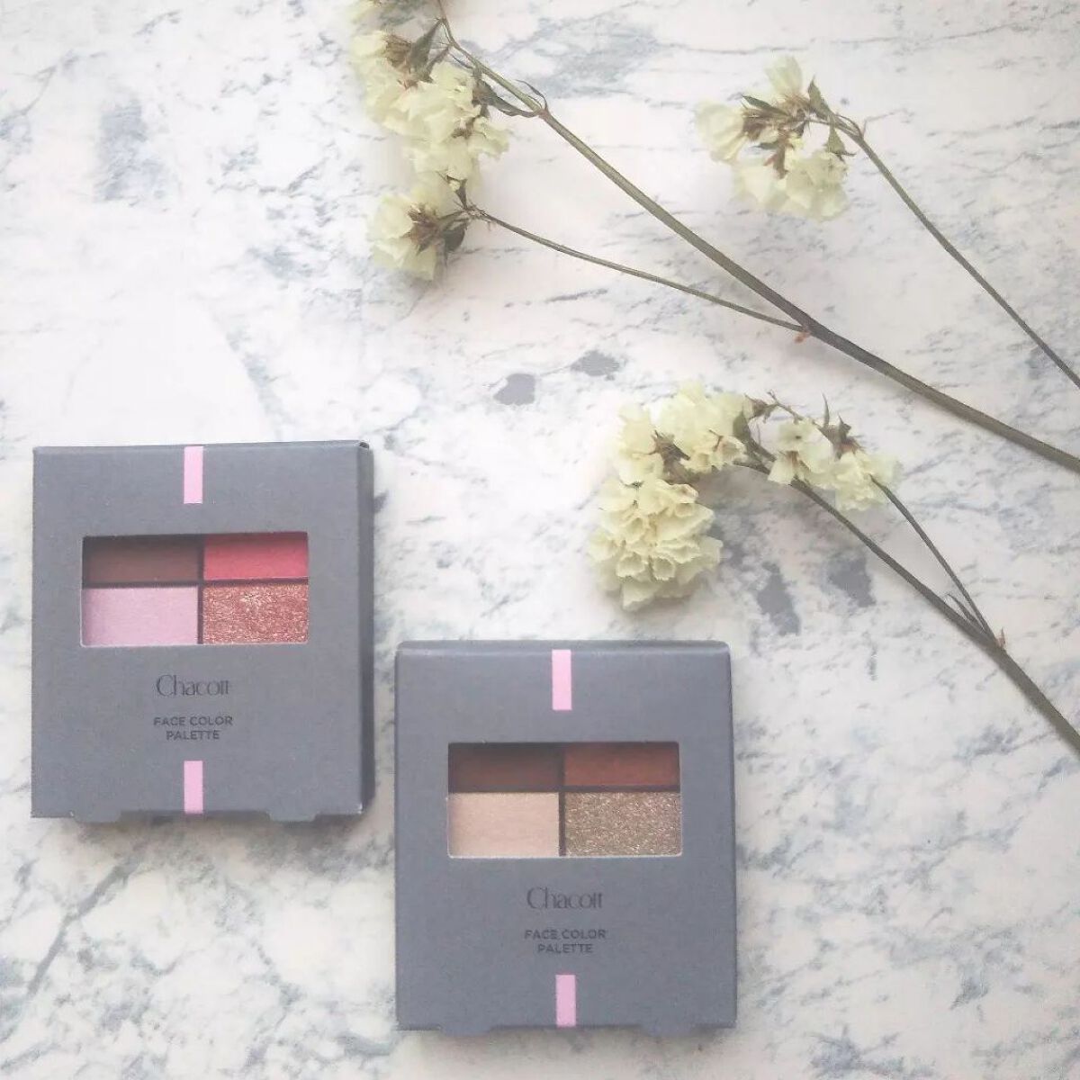 フェイスカラーパレット/チャコット・コスメティクス/アイシャドウパレットを使ったクチコミ(6枚目)