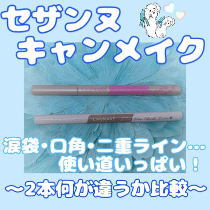 3wayスリムシェードライナー/キャンメイク/リキッドアイライナーを使ったクチコミ(1枚目)