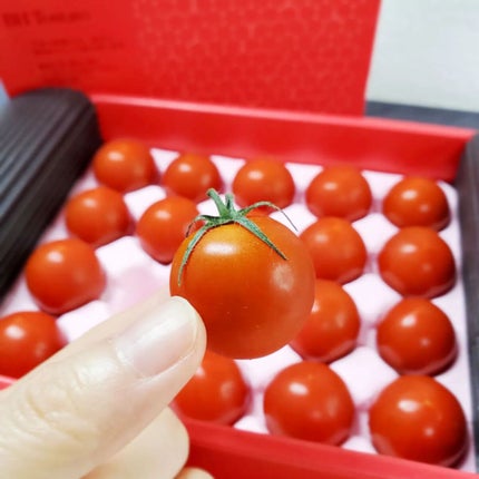 BH Tomato/リコピュア/食品を使ったクチコミ(5枚目)