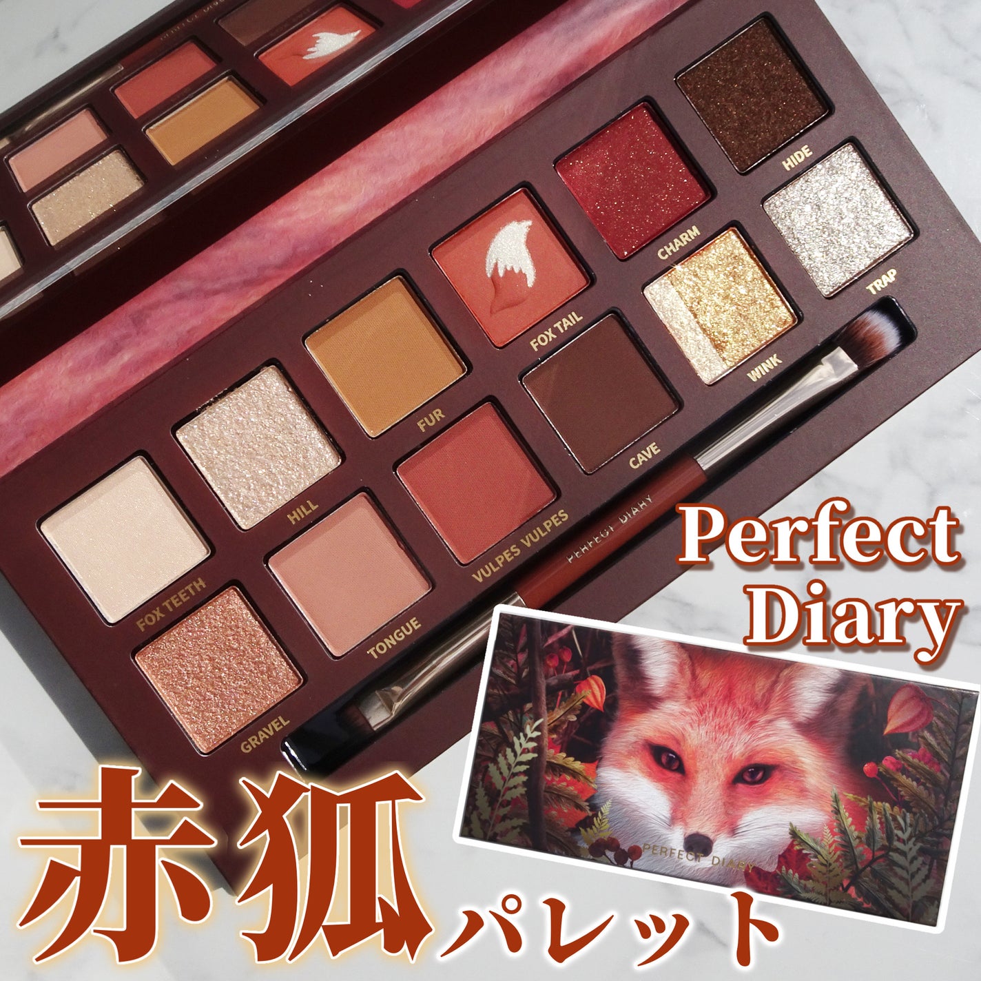 エクスプローラ12色 動物アイシャドウパレット/PERFECT DIARY/アイシャドウパレットを使ったクチコミ(1枚目)