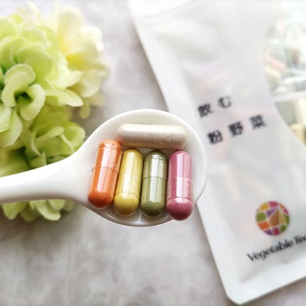 飲む粉野菜/ベジタブルテック/健康サプリメントを使ったクチコミ(4枚目)