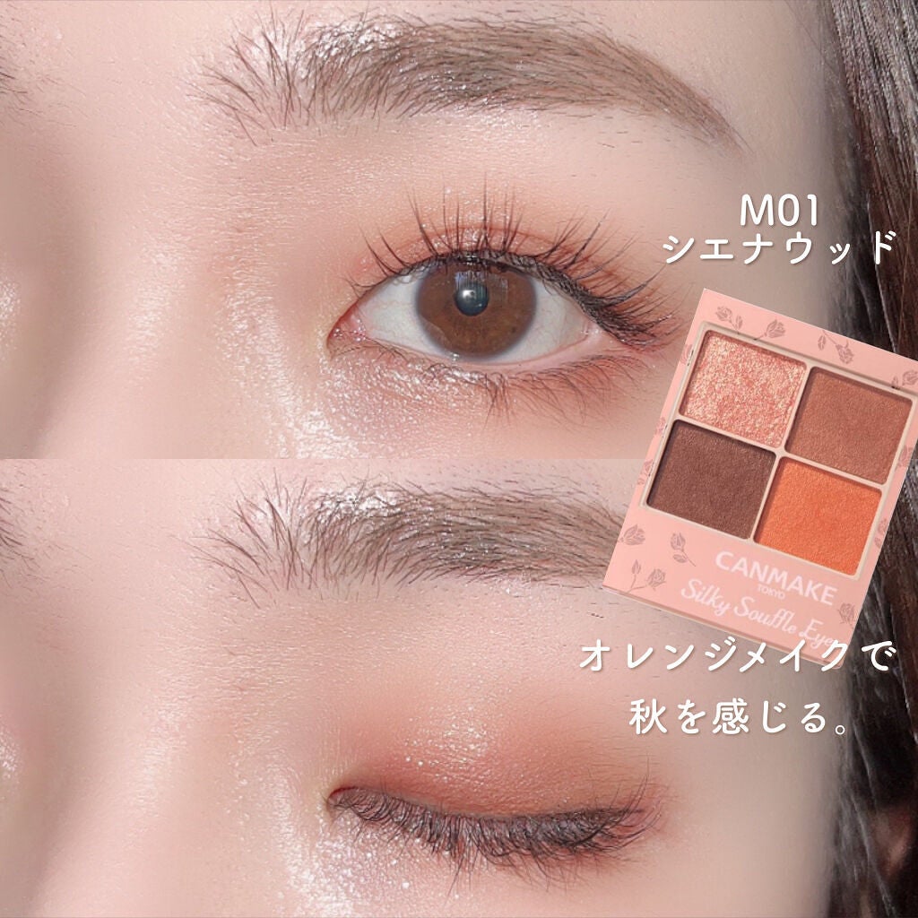 シルキースフレアイズ(マットタイプ)/キャンメイク/アイシャドウパレットを使ったクチコミ(7枚目)