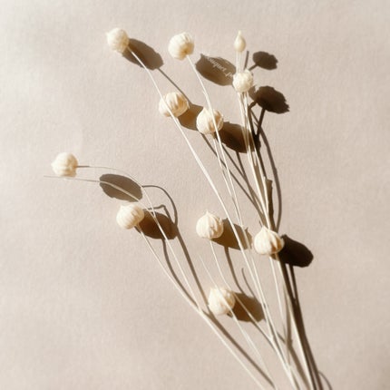 ブレミッシュ 酵素 洗顔パウダー/PAPA RECIPE/洗顔パウダーを使ったクチコミ(5枚目)