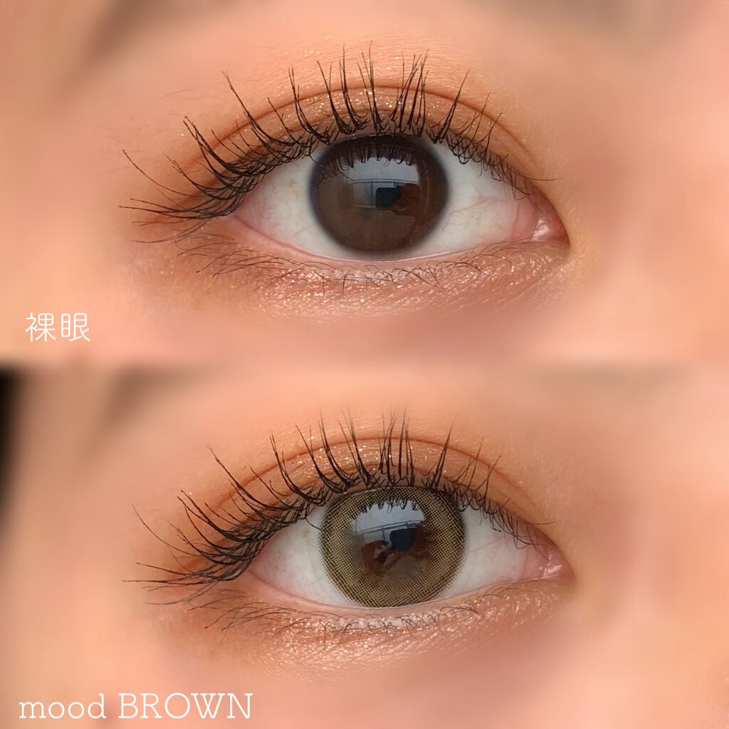 mood brown/Classilens/カラーコンタクトレンズを使ったクチコミ(2枚目)