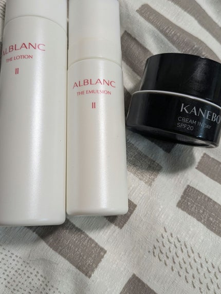 クリーム イン デイ/KANEBO/フェイスクリームを使ったクチコミ(4枚目)