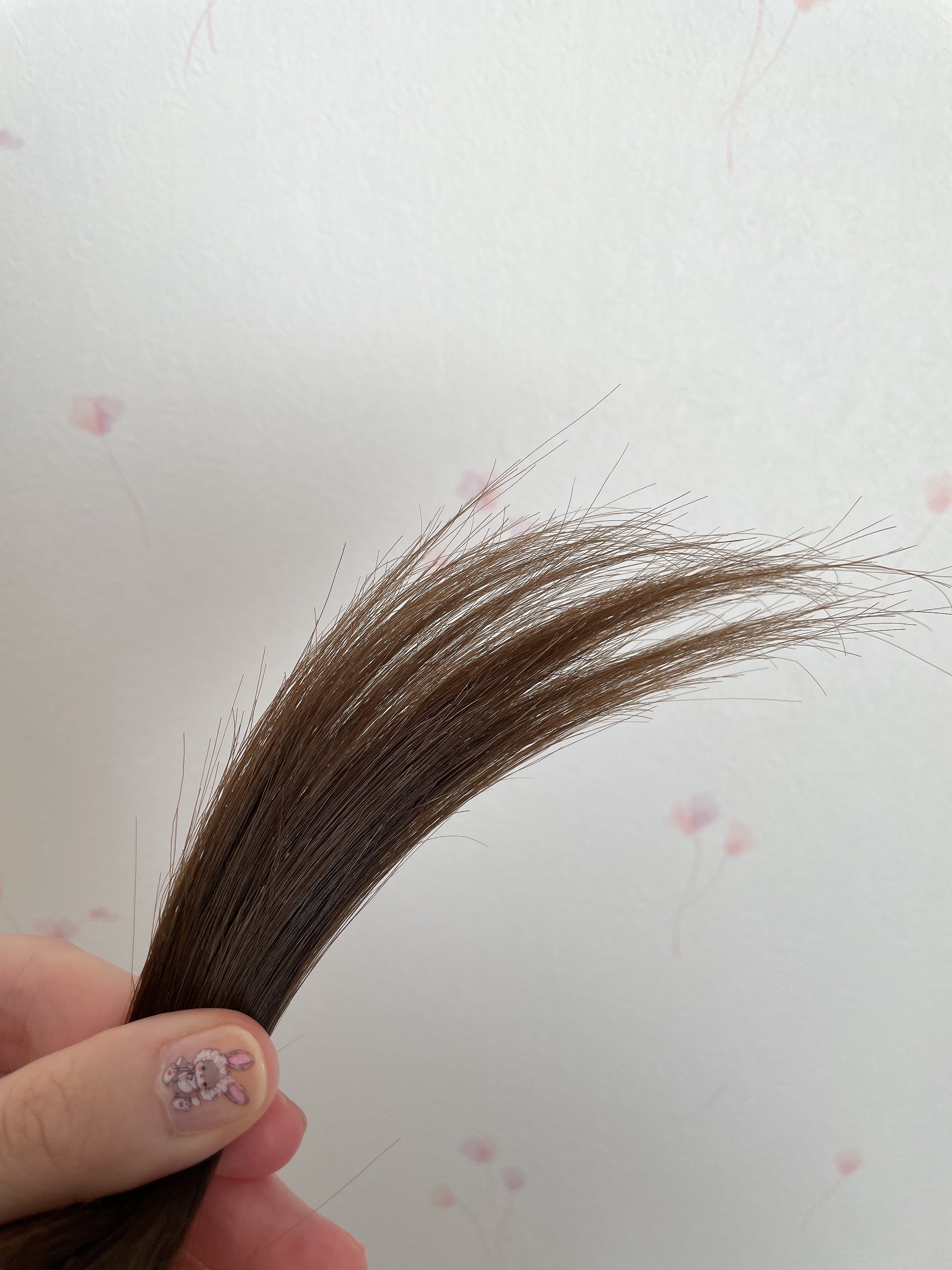 エッセンシャルプレミアム バリアシャンプー・コンディショナー シルキー＆スムース/エッセンシャル/市販シャンプーを使ったクチコミ（3枚目）