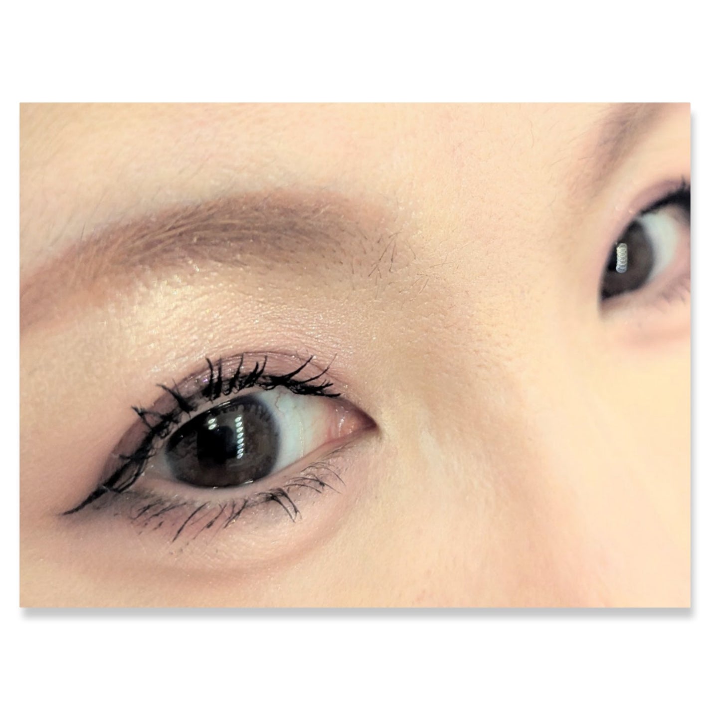 パーフェクトマルチアイズ/キャンメイク/アイシャドウパレットを使ったクチコミ(2枚目)