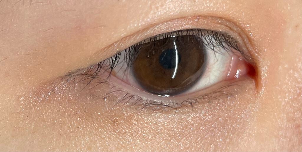 エバーカラーワンデー ルクアージュ/エバーカラー/ワンデー(1DAY)カラコンを使ったクチコミ(4枚目)