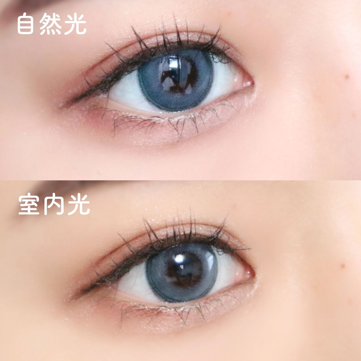 Angelcolor Bambi Series 1day /AngelColor/ワンデー(1DAY)カラコンを使ったクチコミ(3枚目)