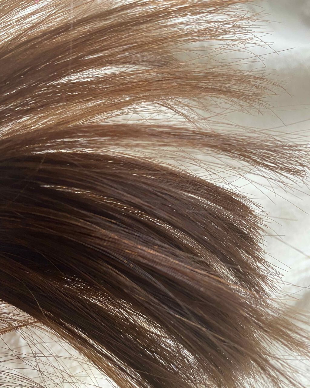 MERCURYDUO シャンプー【スムース】・トリートメント【スムース】/R&/市販シャンプーを使ったクチコミ（2枚目）