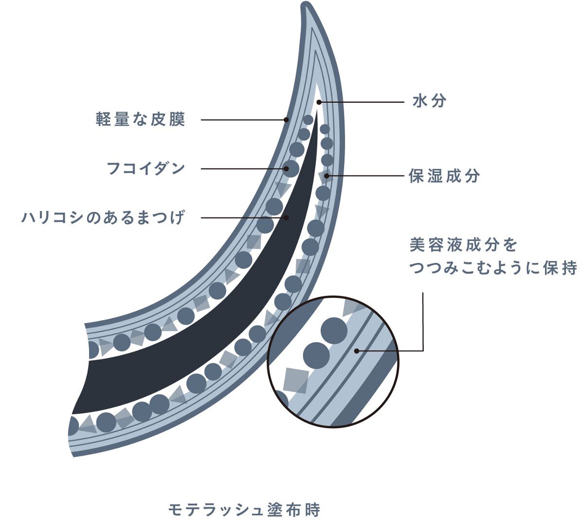 MOTELASH(ウズ モテラッシュ)/UZU BY FLOWFUSHI/マスカラ下地を使ったクチコミ（3枚目）