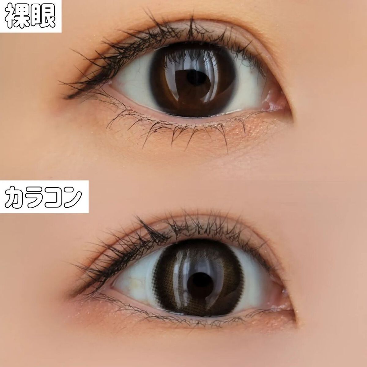ミューテッド/OLOLA/カラーコンタクトレンズを使ったクチコミ（3枚目）