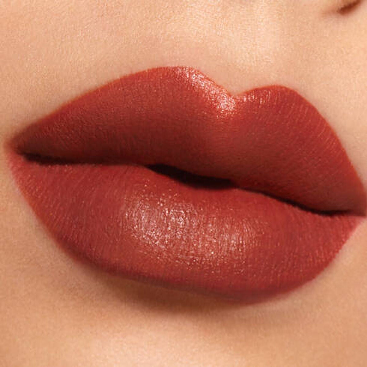 ルージュ アンリミテッド アンプリファイド ピグメント BR793