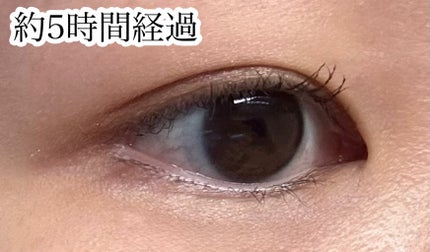 ラストオート ジェルアイライナー/BBIA/ジェルアイライナーを使ったクチコミ(4枚目)