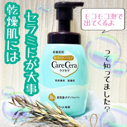 泡の高保湿ボディウォッシュ/ケアセラ/ボディソープを使ったクチコミ(1枚目)