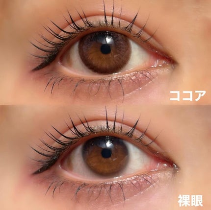 TeAmo 1DAY/TeAmo/ワンデー(1DAY)カラコンを使ったクチコミ(3枚目)