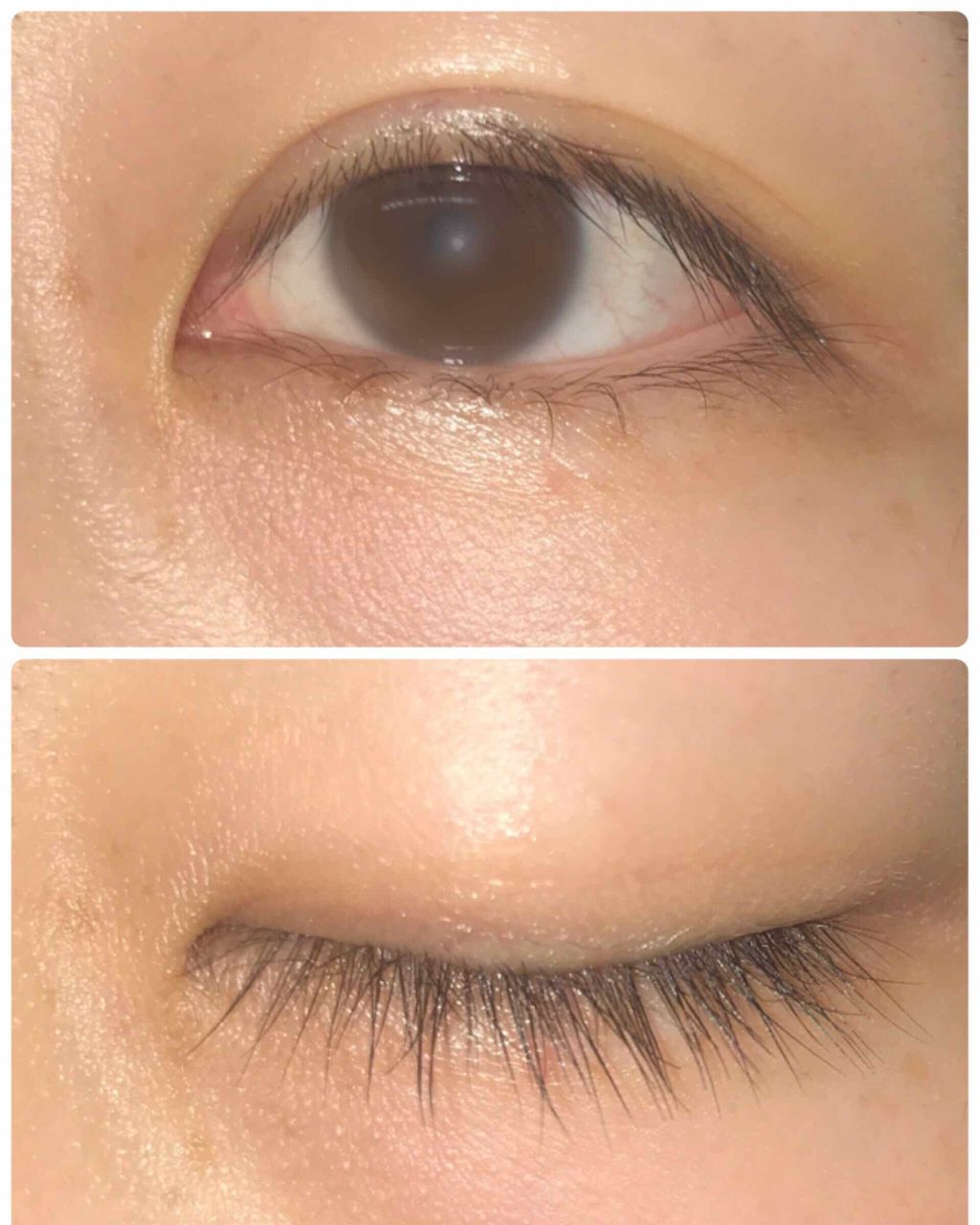 ロング&カールマスカラ アドバンストフィルム/ヒロインメイク/マスカラを使ったクチコミ(2枚目)