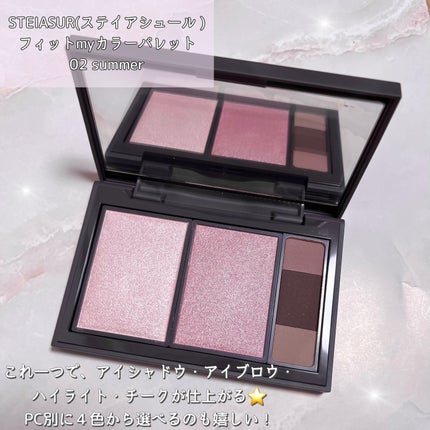 フィット my カラーパレット/STEIASUR(ステイアシュール)/マルチパレットを使ったクチコミ(2枚目)