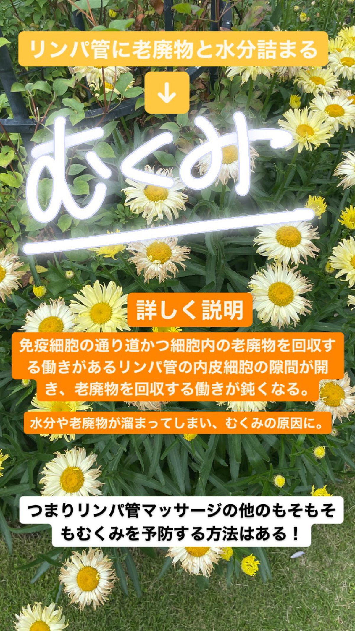 ã«ã on LIPS ãð¿å€ã®ããã¿ð¿ã¯ãŒã©ãŒãªã©ã§ãããã ããå£ç¯é¢ä¿ãªãããã¿ãã..ãïŒ2æç®ïŒ