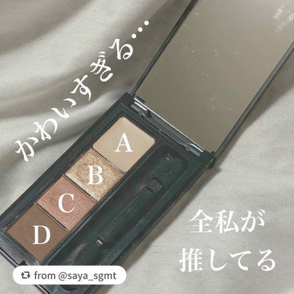 スパークリングリッチシャドウ/LB/アイシャドウパレットを使ったクチコミ(2枚目)