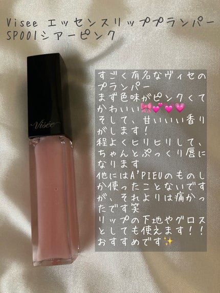 エッセンス リッププランパー/Visée/リッププランパーを使ったクチコミ(1枚目)