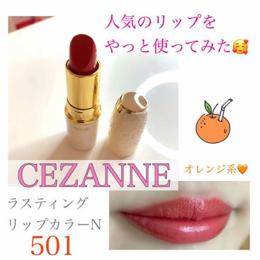 ラスティング リップカラーN/CEZANNE/口紅を使ったクチコミ（1枚目）