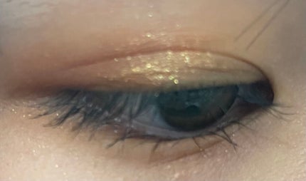 アニマルアイシャドウ(4シェード)/ZEESEA/アイシャドウパレットを使ったクチコミ(1枚目)