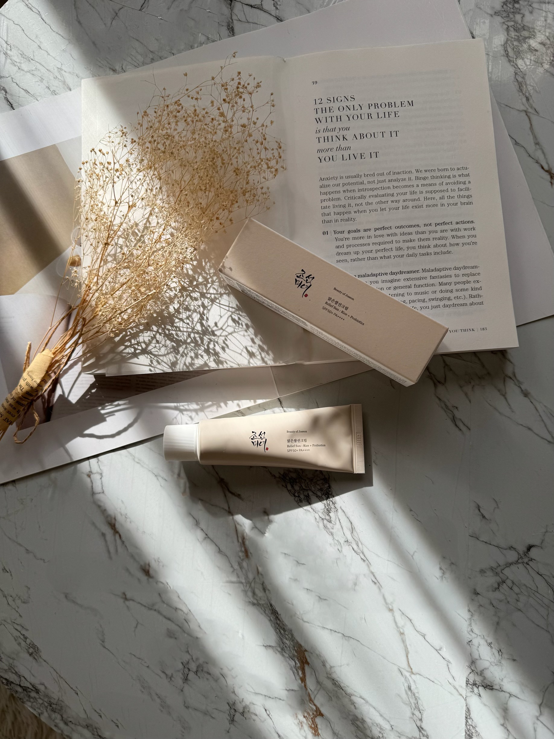 リリーフサンライス + プロバイオティクス/Beauty of Joseon/日焼け止めクリームを使ったクチコミ（1枚目）