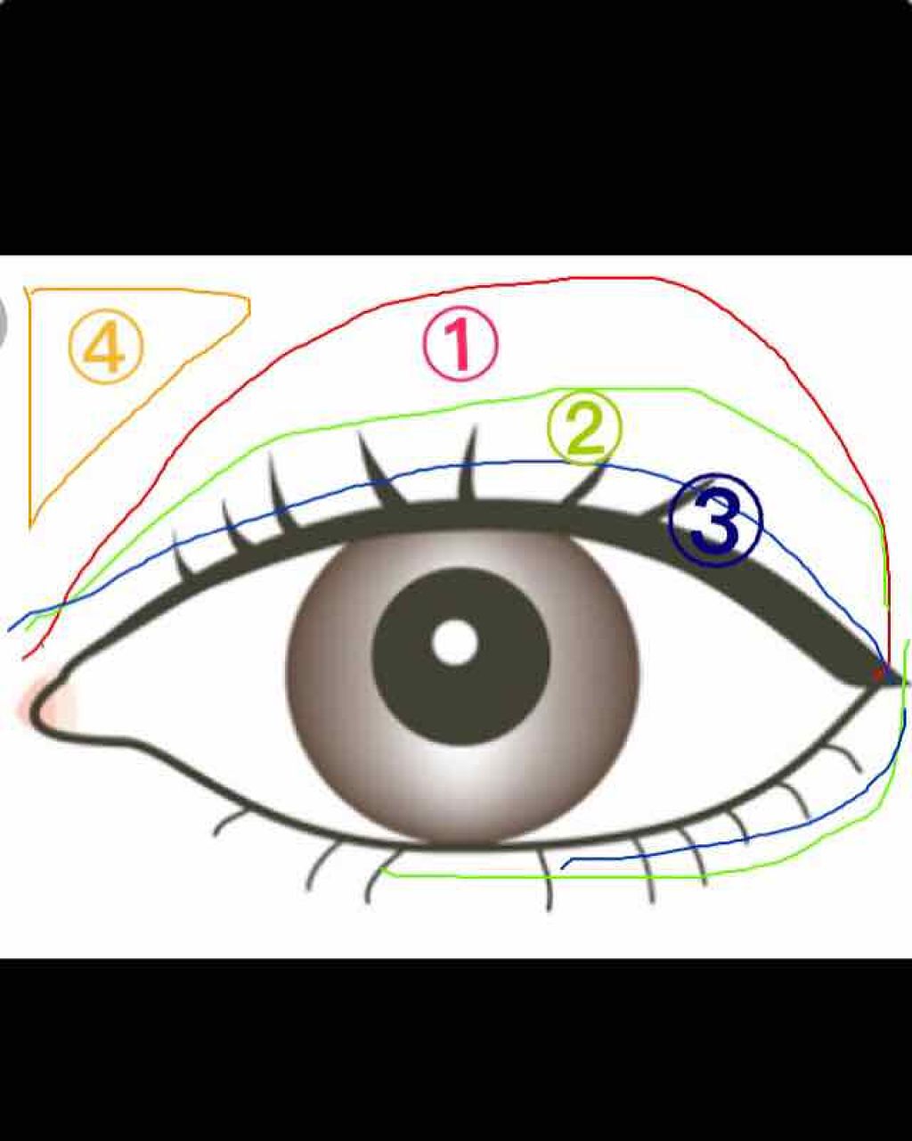 ブラウンシェードアイズN/KATE/アイシャドウパレットを使ったクチコミ(2枚目)