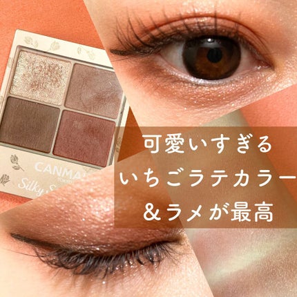 シルキースフレアイズ(マットタイプ)/キャンメイク/アイシャドウパレットを使ったクチコミ(1枚目)