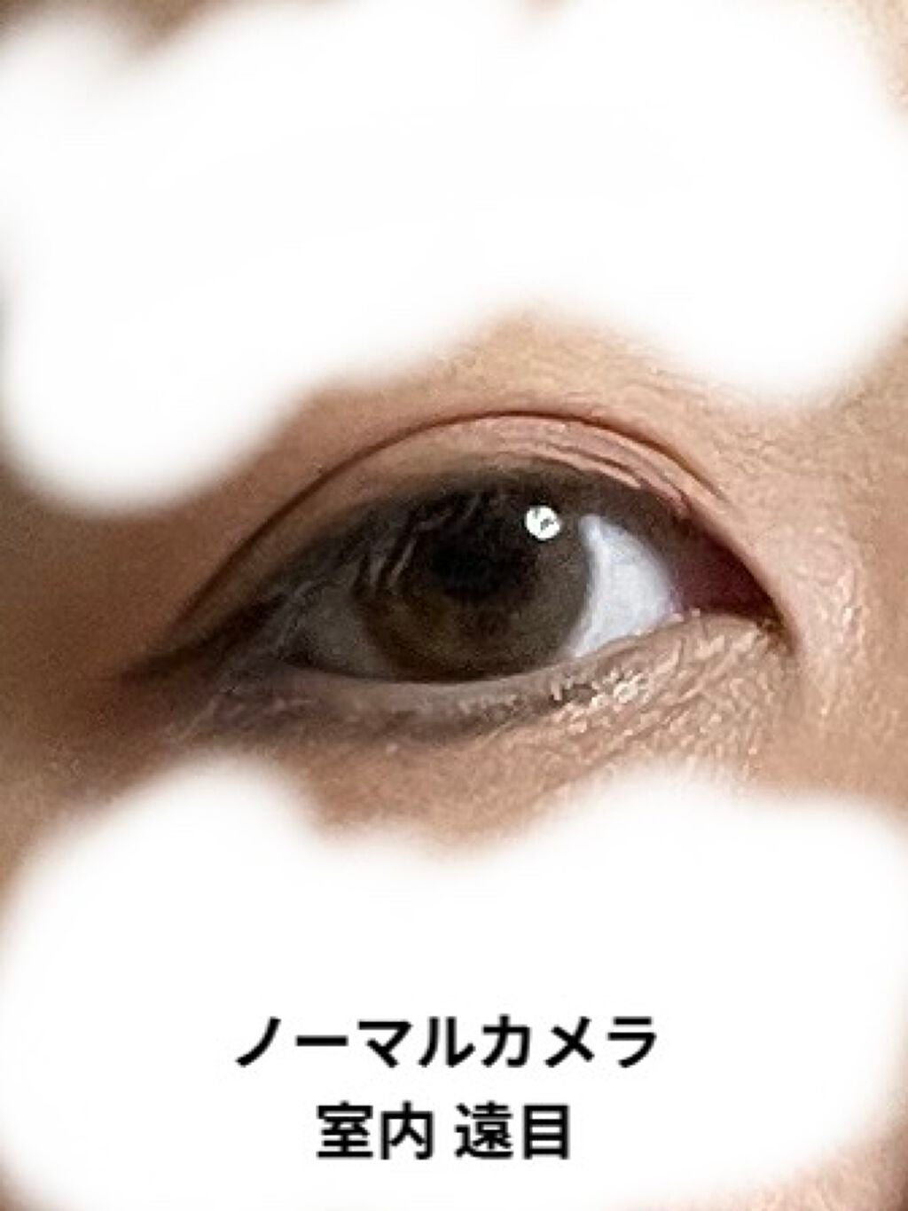 TOPARDS 1day/TOPARDS/ワンデー(1DAY)カラコンを使ったクチコミ(3枚目)