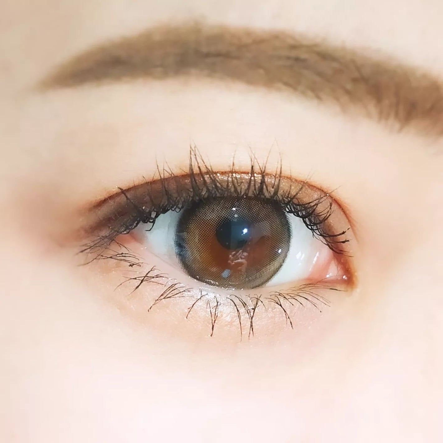 melloew 1day/melloew/ワンデー(1DAY)カラコンを使ったクチコミ(8枚目)