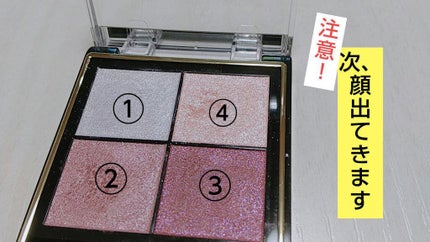 リアルクローズシャドウ/excel/アイシャドウパレットを使ったクチコミ(2枚目)