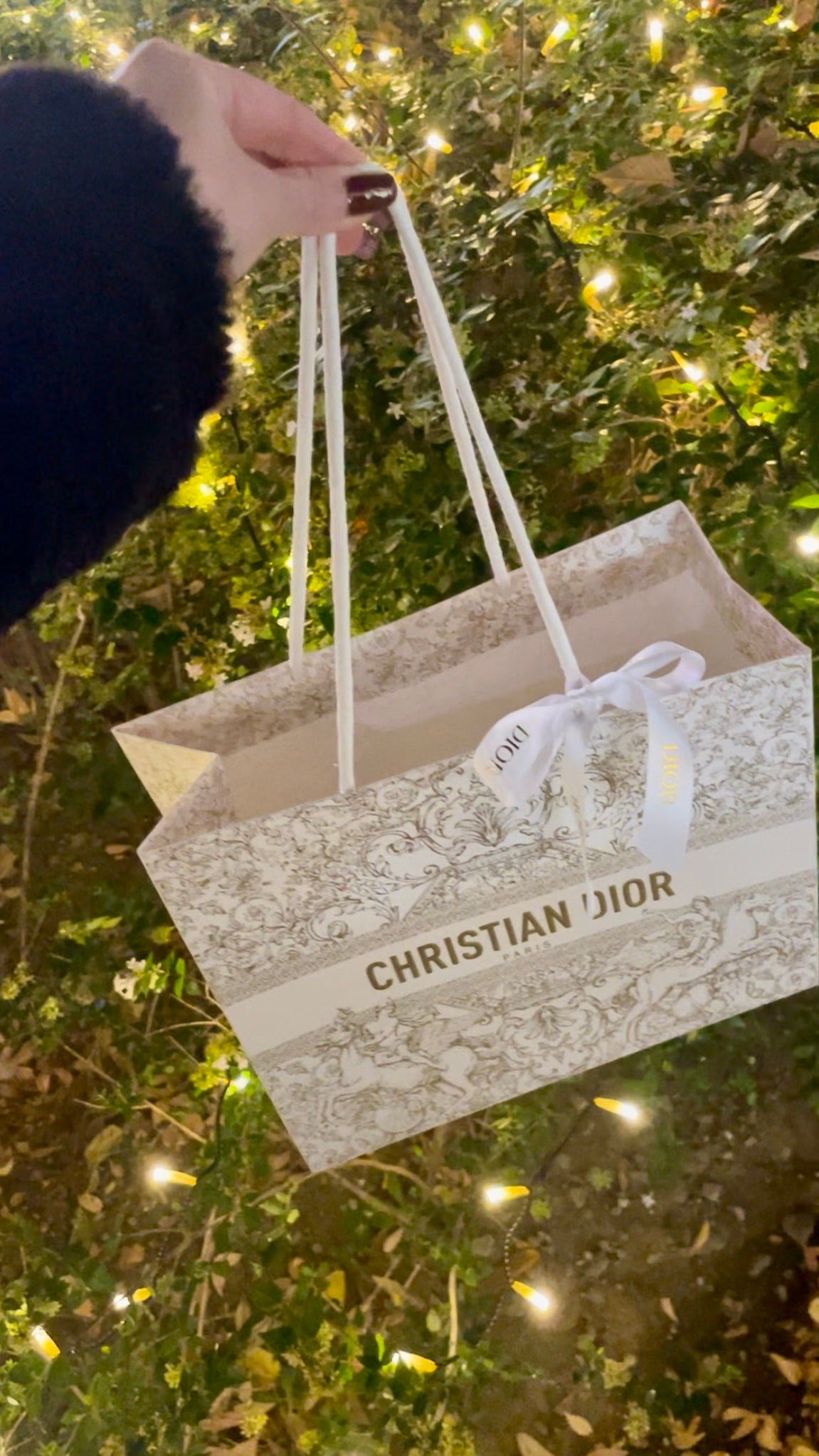 【旧】ディオール ホリデー オファー/Dior/メイクアップキットを使ったクチコミ(1枚目)