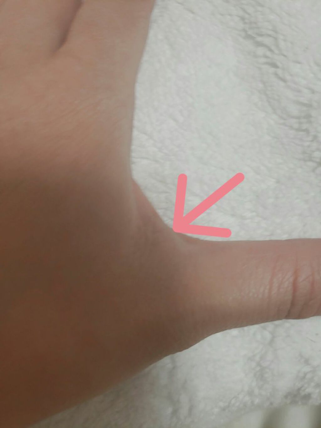 フレンチパフューム ハンドクリーム/Healing bird/ハンドクリームを使ったクチコミ（2枚目）