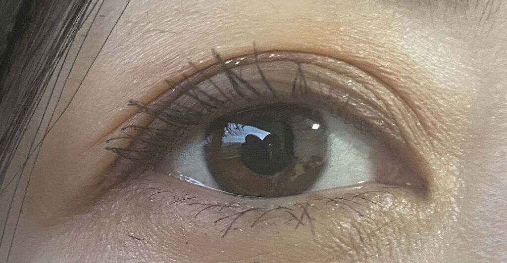 シルキースフレアイズ（マットタイプ）/キャンメイク/アイシャドウパレットを使ったクチコミ（2枚目）