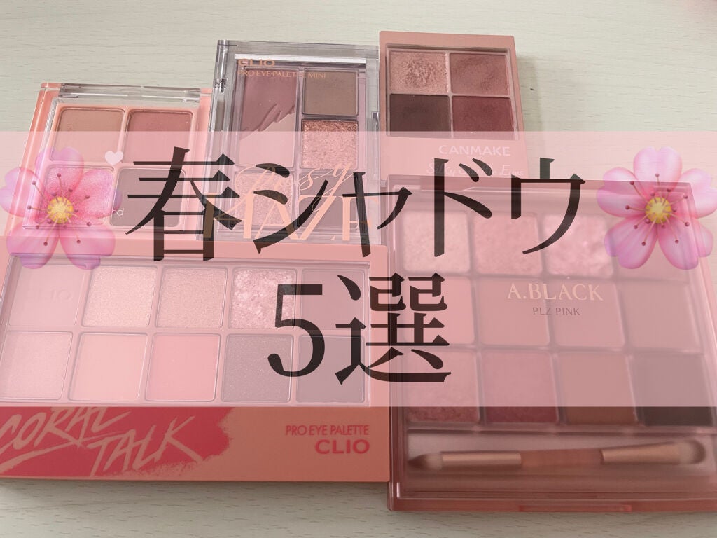 プロ アイ パレット/CLIO/アイシャドウパレットを使ったクチコミ(1枚目)