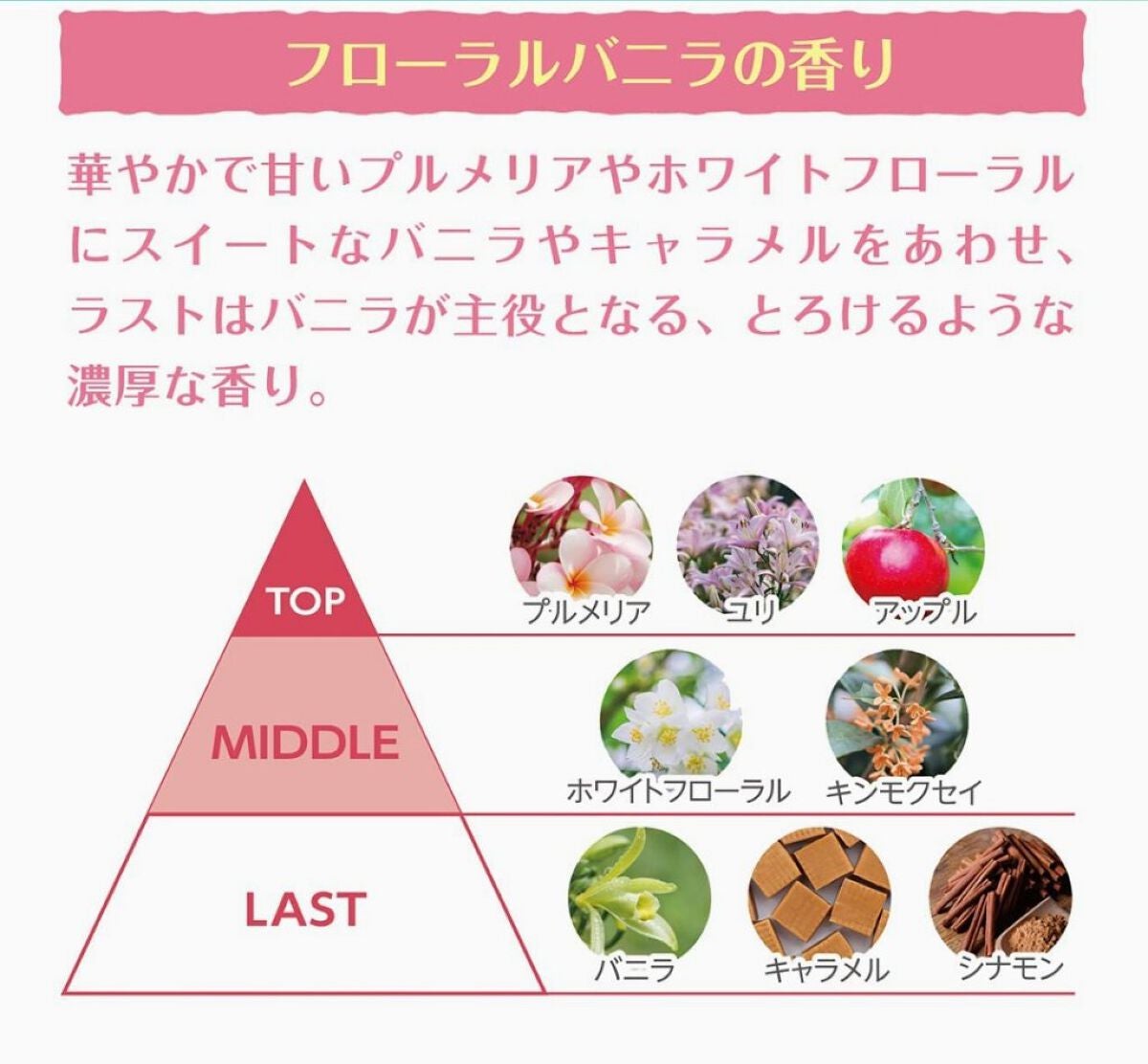 スイート ドルチェ シャンプー トリートメント/ISM/市販シャンプーを使ったクチコミ(2枚目)