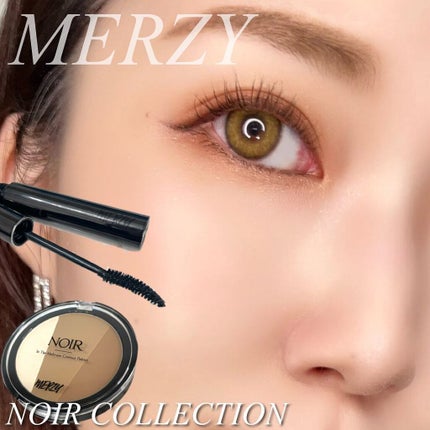 NOIR IN THE MULTI-USE CONTOUR PALETTE/MERZY/シェーディングを使ったクチコミ(1枚目)