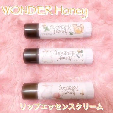 ワンダーハニー リップエッセンスクリーム グリーンティーミント/VECUA Honey/リップケア・リップクリームを使ったクチコミ（1枚目）