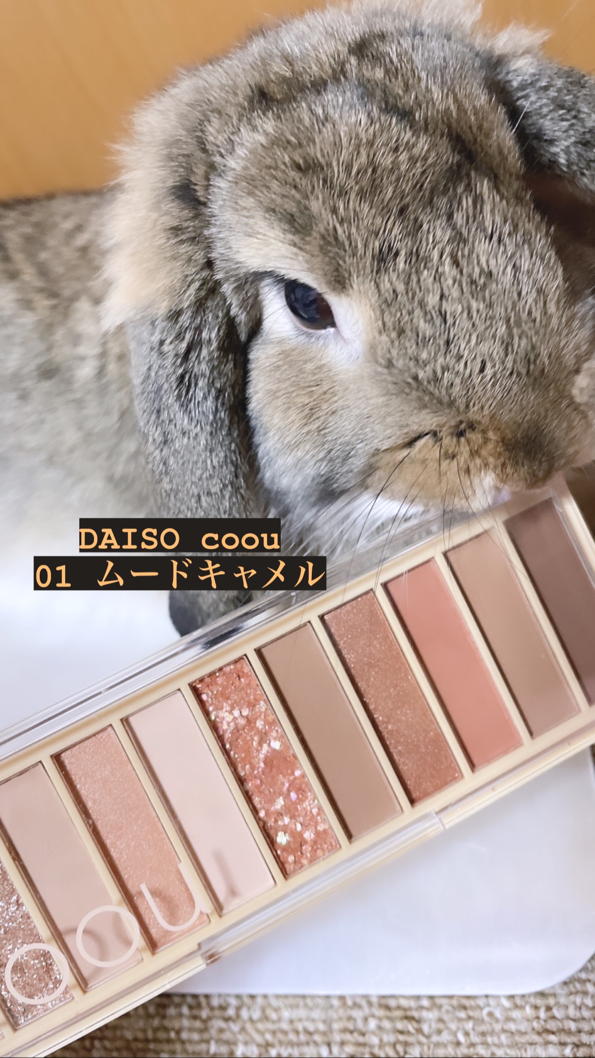 アイシャドウパレット/coou/アイシャドウパレットを使ったクチコミ（3枚目）