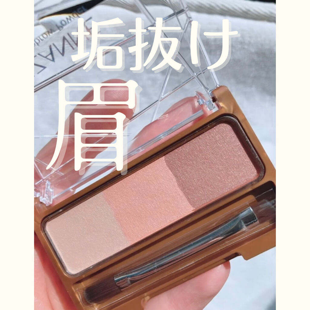 ノーズ＆アイブロウパウダー/CEZANNE/パウダーアイブロウを使ったクチコミ（1枚目）