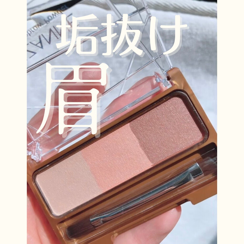 ノーズ&アイブロウパウダー/CEZANNE/パウダーアイブロウを使ったクチコミ(1枚目)