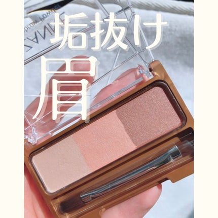 ノーズ&アイブロウパウダー/CEZANNE/パウダーアイブロウを使ったクチコミ(1枚目)