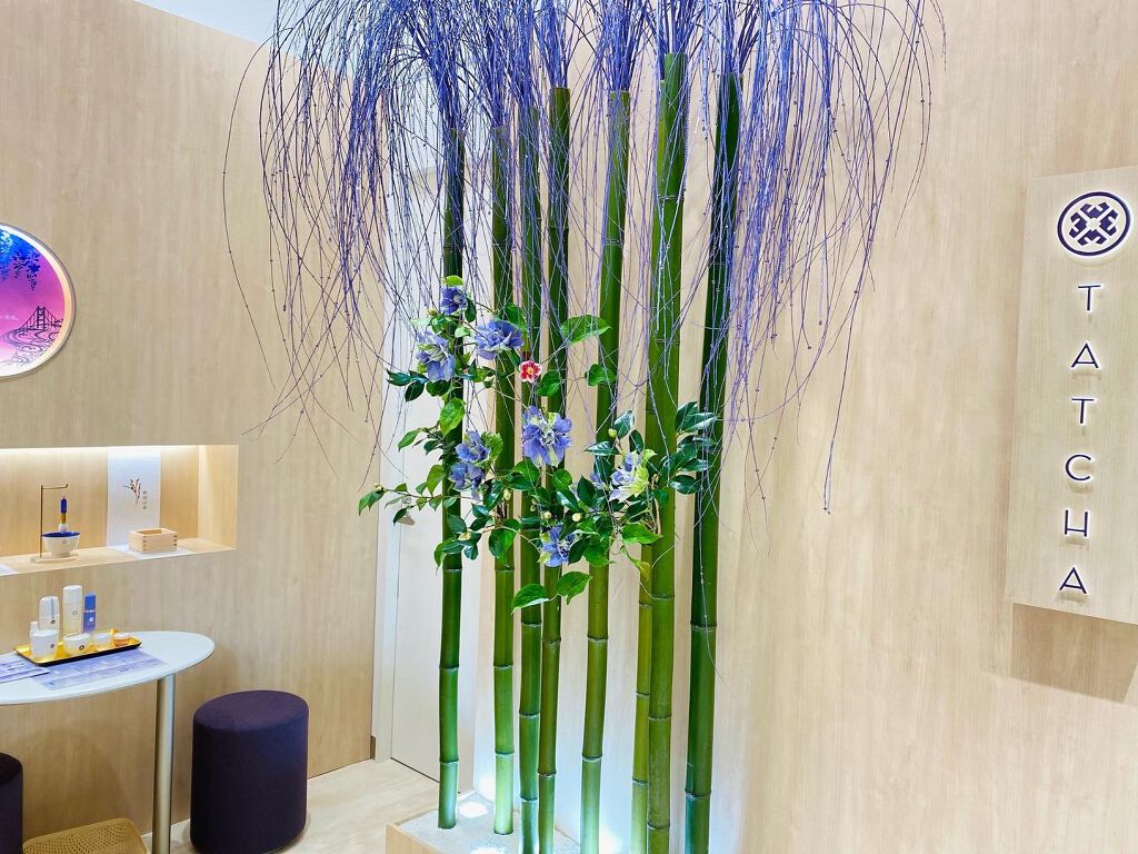 エッセンス/タッチャ/化粧水を使ったクチコミ(5枚目)