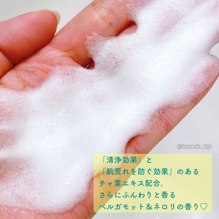 フェムチャー マイルドフォームウォッシュ/アンファー(スカルプD)/デリケートゾーンケアを使ったクチコミ(4枚目)