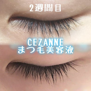 まつげ美容液EX/CEZANNE/まつげ美容液を使ったクチコミ（1枚目）