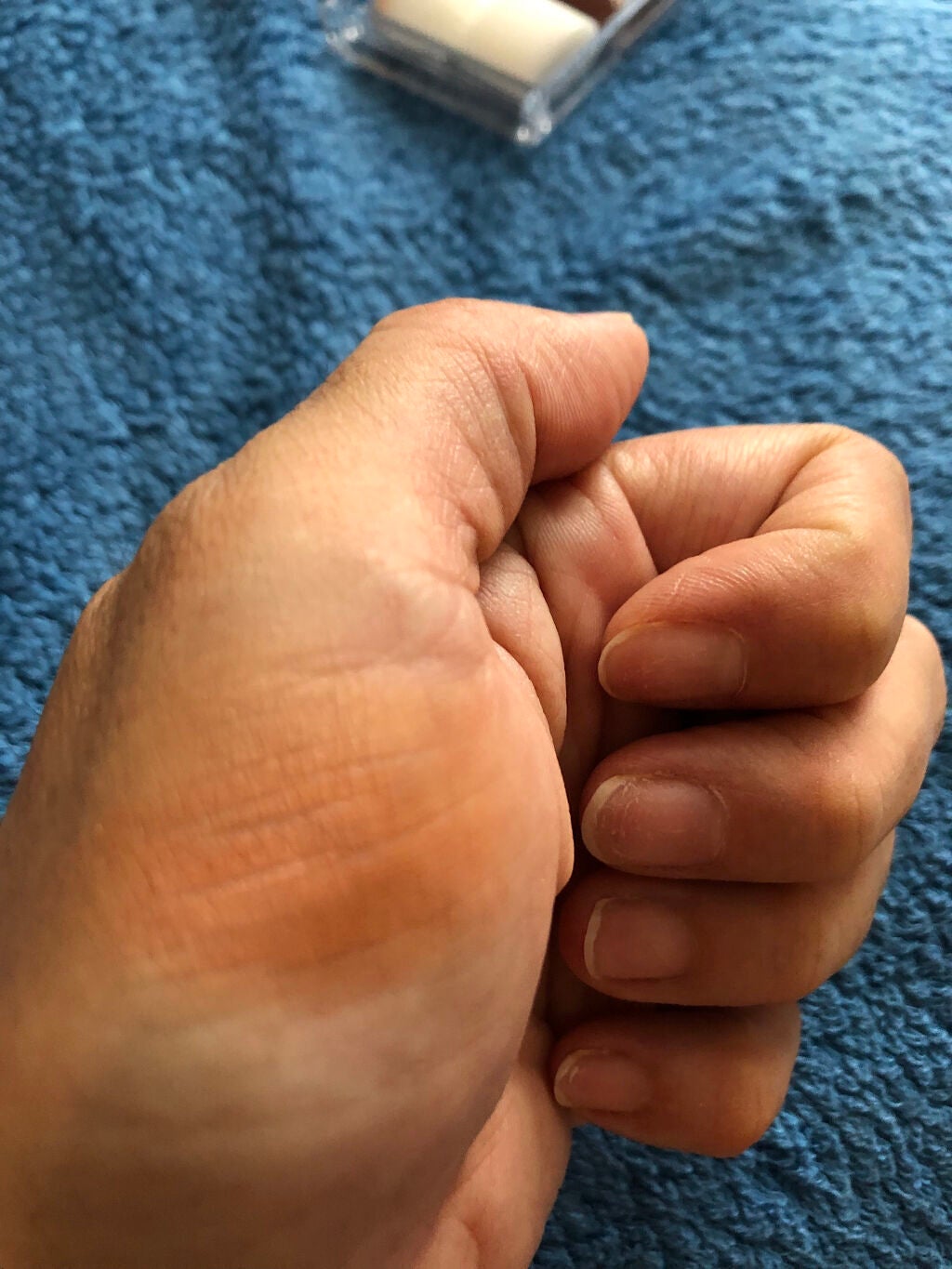 グロウフルールチークス/キャンメイク/パウダーチークを使ったクチコミ(2枚目)