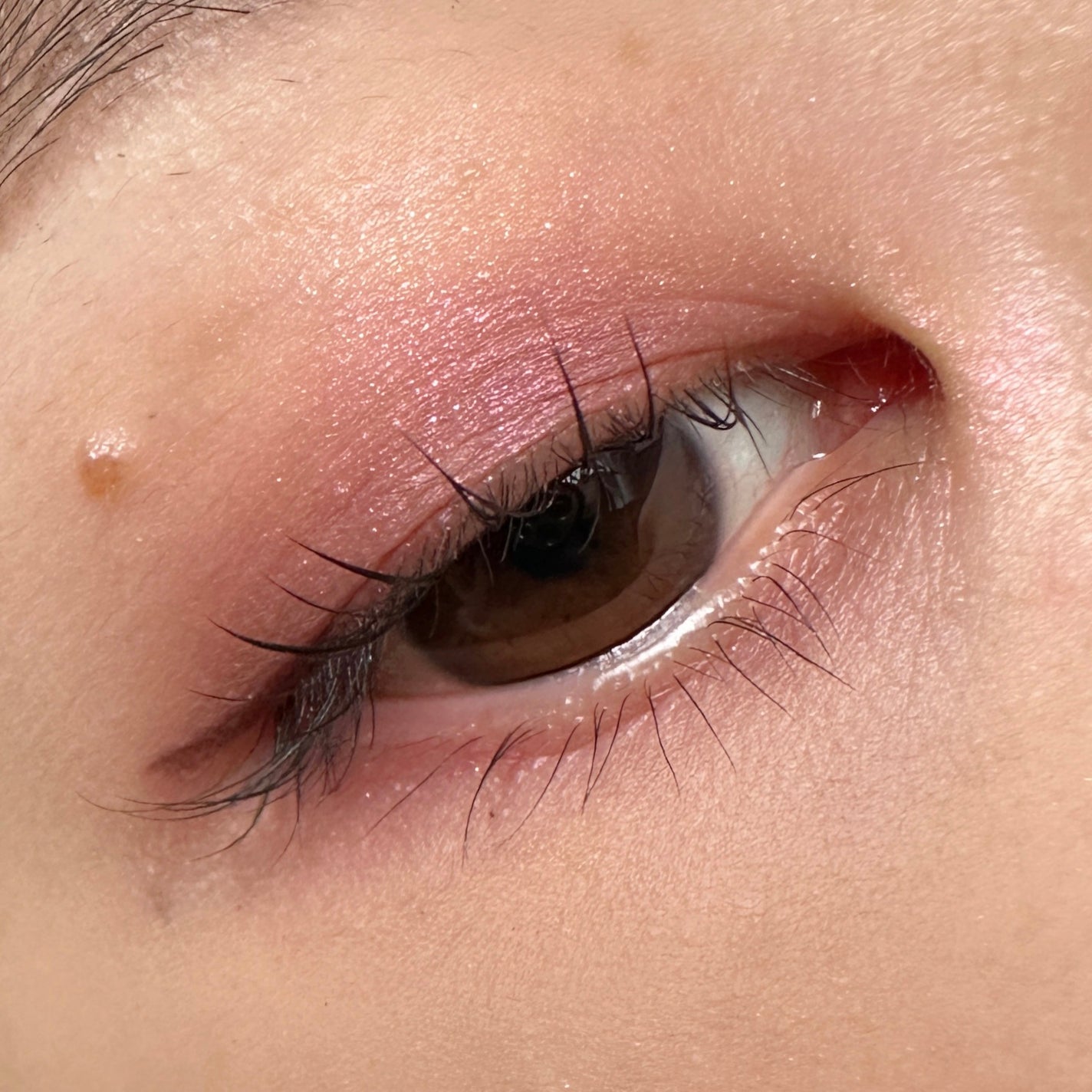 レ キャトル オンブル ツイード/CHANEL/アイシャドウパレットを使ったクチコミ(3枚目)