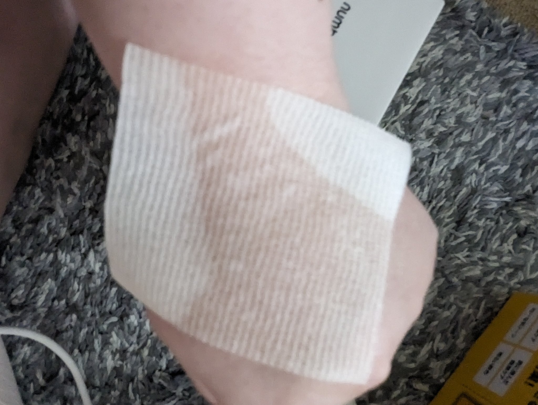 5番 白玉グルタチオンＣ美容液/numbuzin/美容液を使ったクチコミ（3枚目）